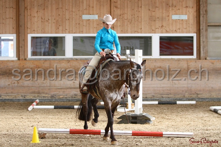 26-ApHC GT_177.jpg